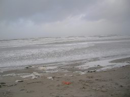 DSCN1599.JPG