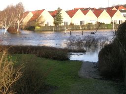 DSCN1608.JPG