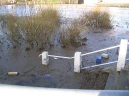 DSCN1609.JPG