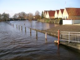 DSCN1610.JPG